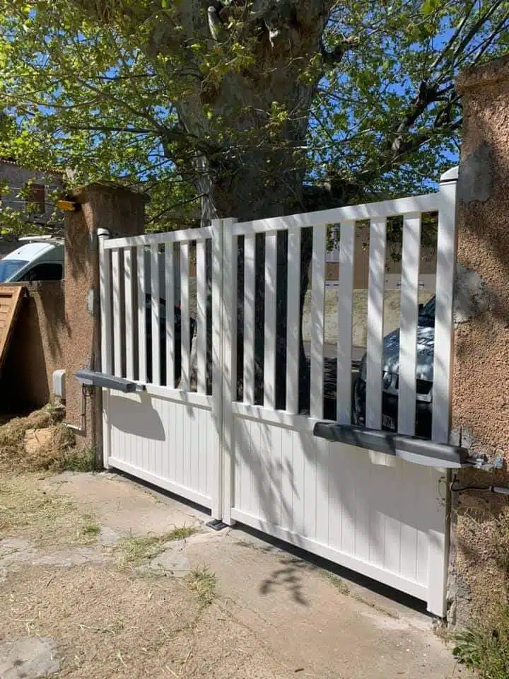 170337105 1257251681386166 579363889496425649 n.jpg